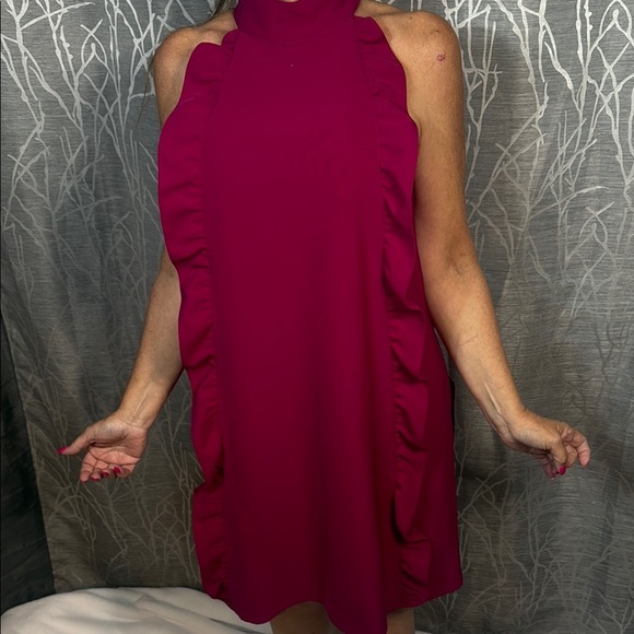 TED BAKER FUCHSIA RUFFLE HALTER DRESS SIZE 2 (US L) - Picture 2 of 9